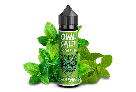 OWL Salt  Spearmint Aroma von OWL Salt - Aroma zum Liquid Mischen mit einer Base