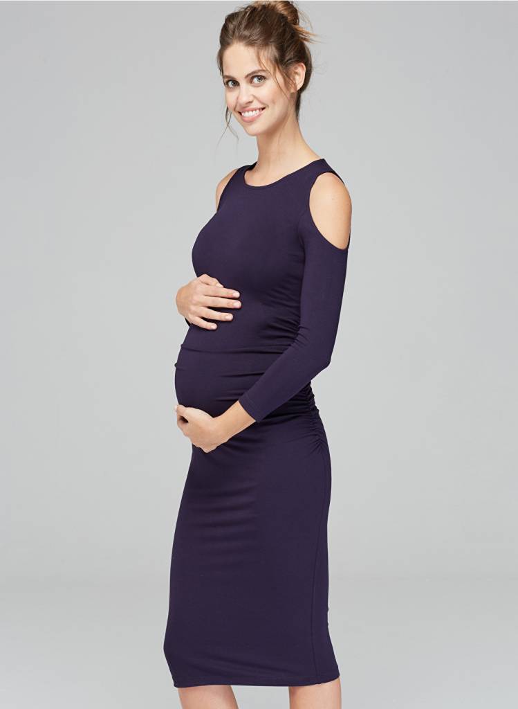 Isabella Oliver Anneli Maternity Dress