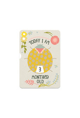 Milestone + Milestone Turn Wheel Card :