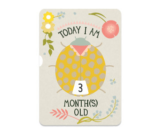 Milestone + Milestone Turn Wheel Card :