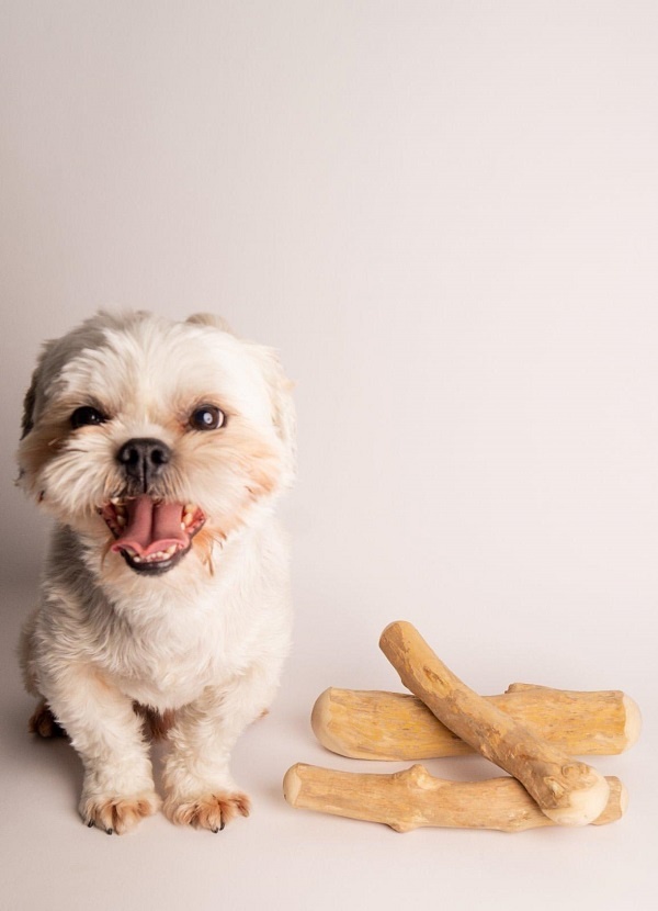 Koffieboomwortels: het natuurlijke kauwbot voor je hond