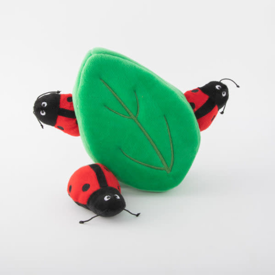 Zippy Burrow – Ladybugs in Leaf