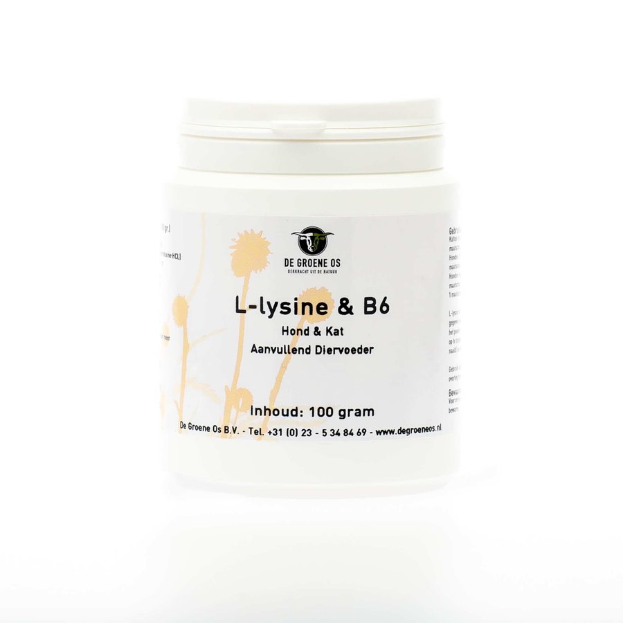 L-Lysine & B6 100 gram