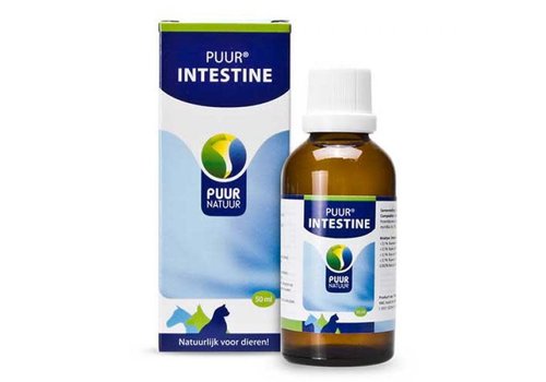 Puur Darm / Intestine 50 ml