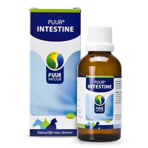 Puur Darm / Intestine 50 ml