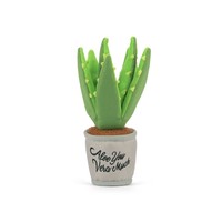 Aloe-ve You Plant