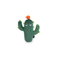 Prickly Pup Cactus