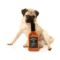 Jack Russel’s
