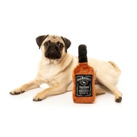 Jack Russel’s
