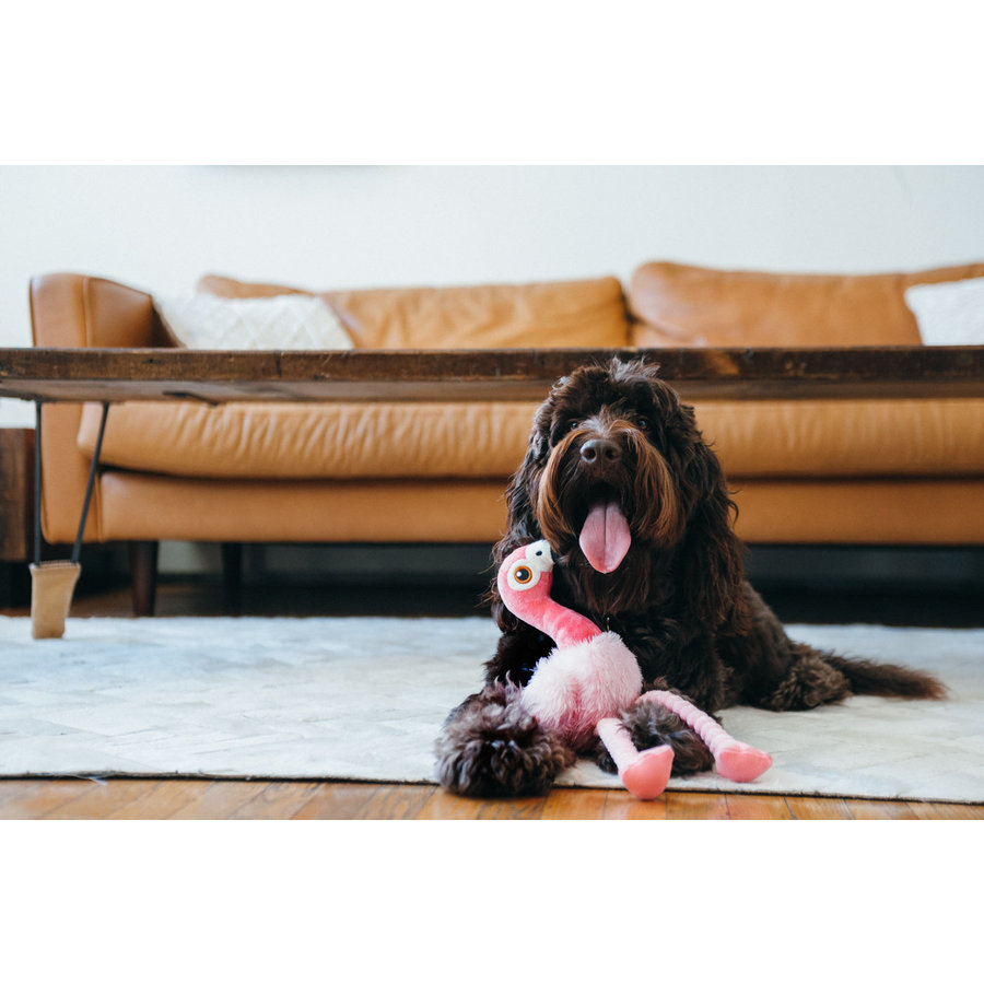 Flora the Flamingo