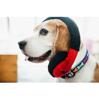 Howling Hound Headphones