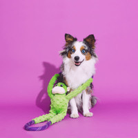 RopeTugz – Green Monkey