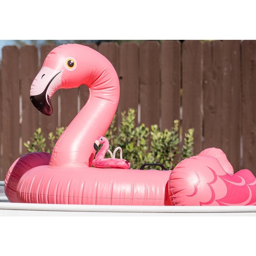 Flamingo Float