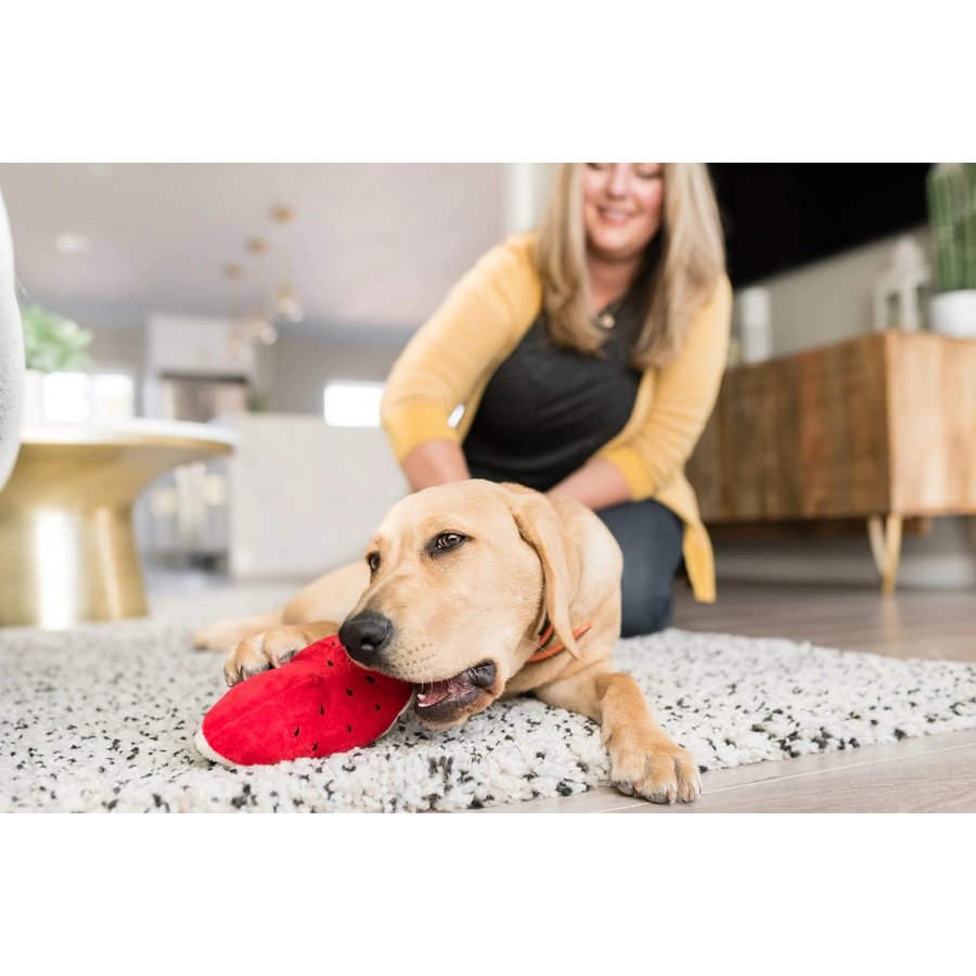 Wagging Watermelon
