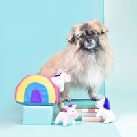 Zippy Burrow – Unicorns in Rainbow
