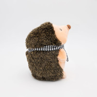 Hetty the Hedgehog