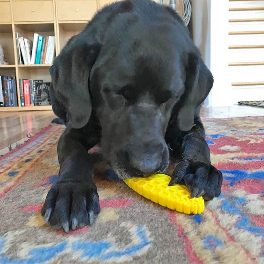 SP Nylon Corn on the Cob – Yellow