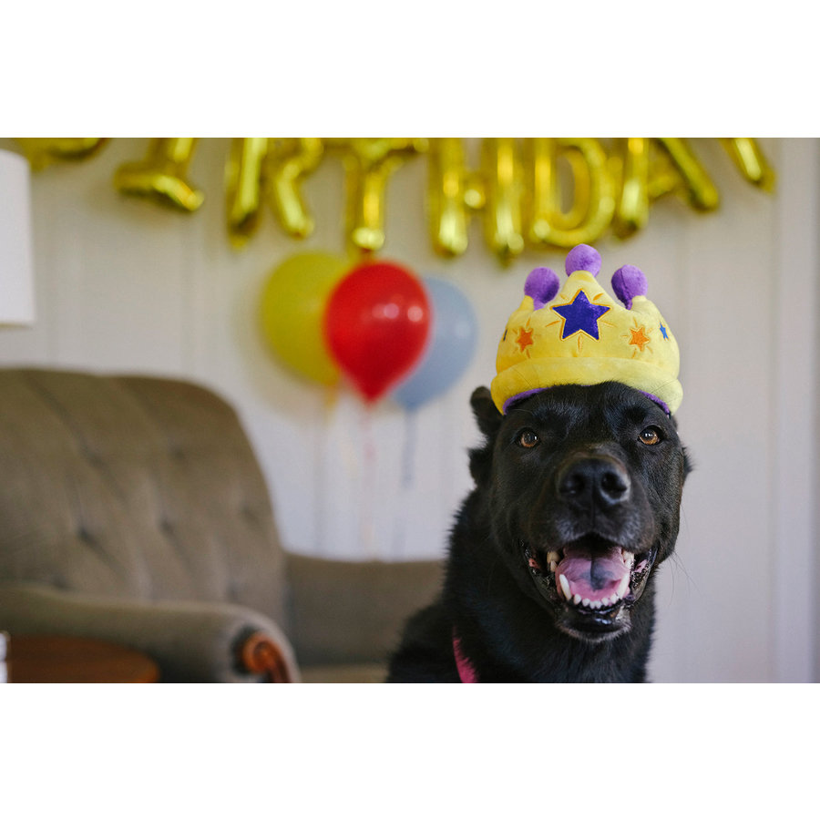 P.L.A.Y. Canine Crown