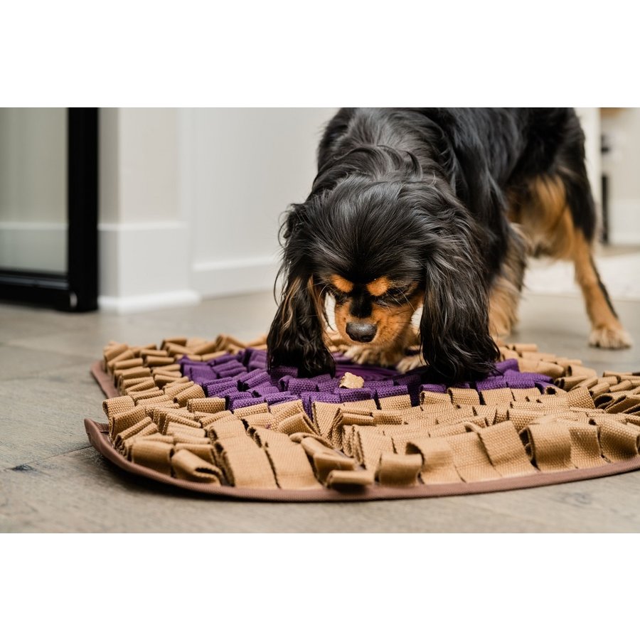 PB&J Snuffle Mat