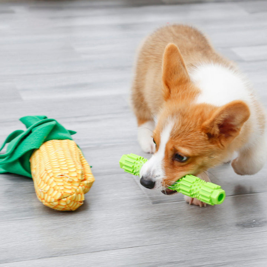 Corn On The Cob Snuffle Toy