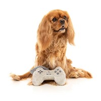 *Retro Toy Pawstation Controller