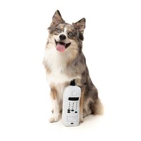 *Retro Toy The Brik
