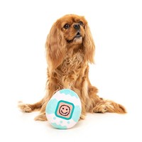 *Retro Toy Tamagotchi