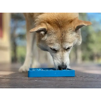 SP Waiting Dogs Etray