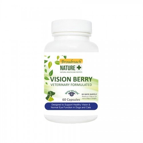 Broadreach Nature Vision Berry capsules 60 st