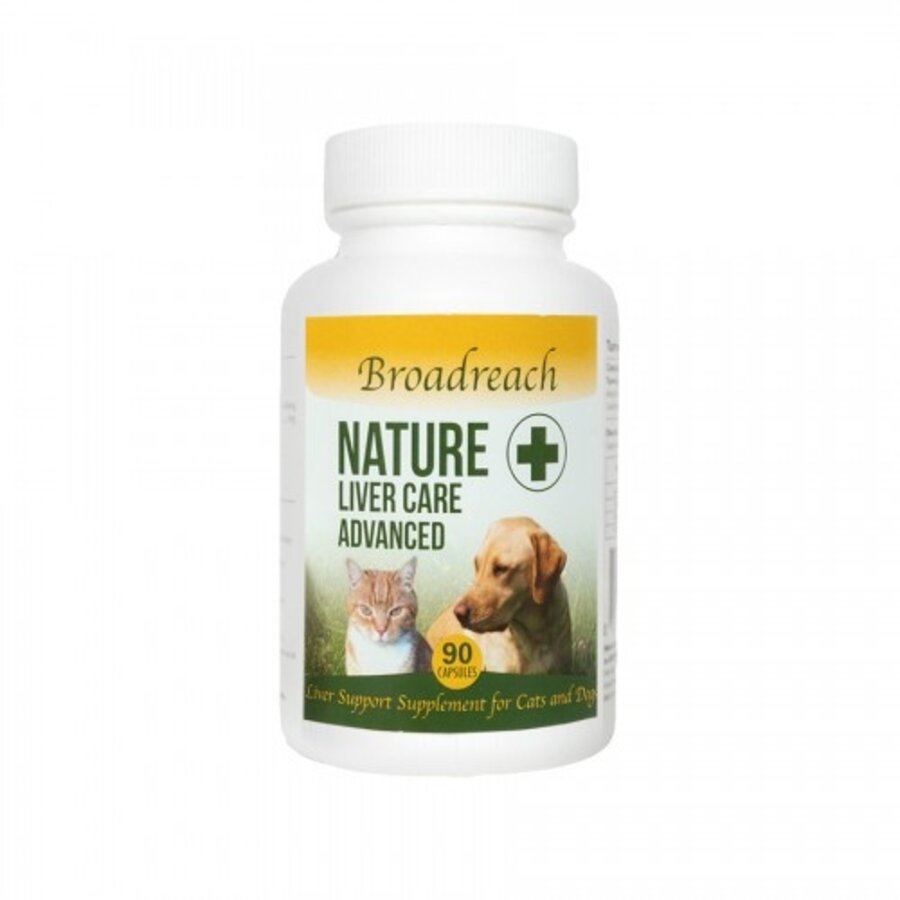 Liver Care capsules
