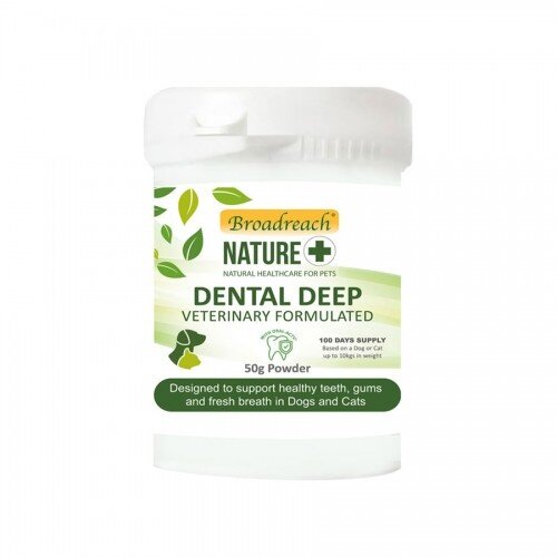 Broadreach Nature Dental Deep poeder 50 gram