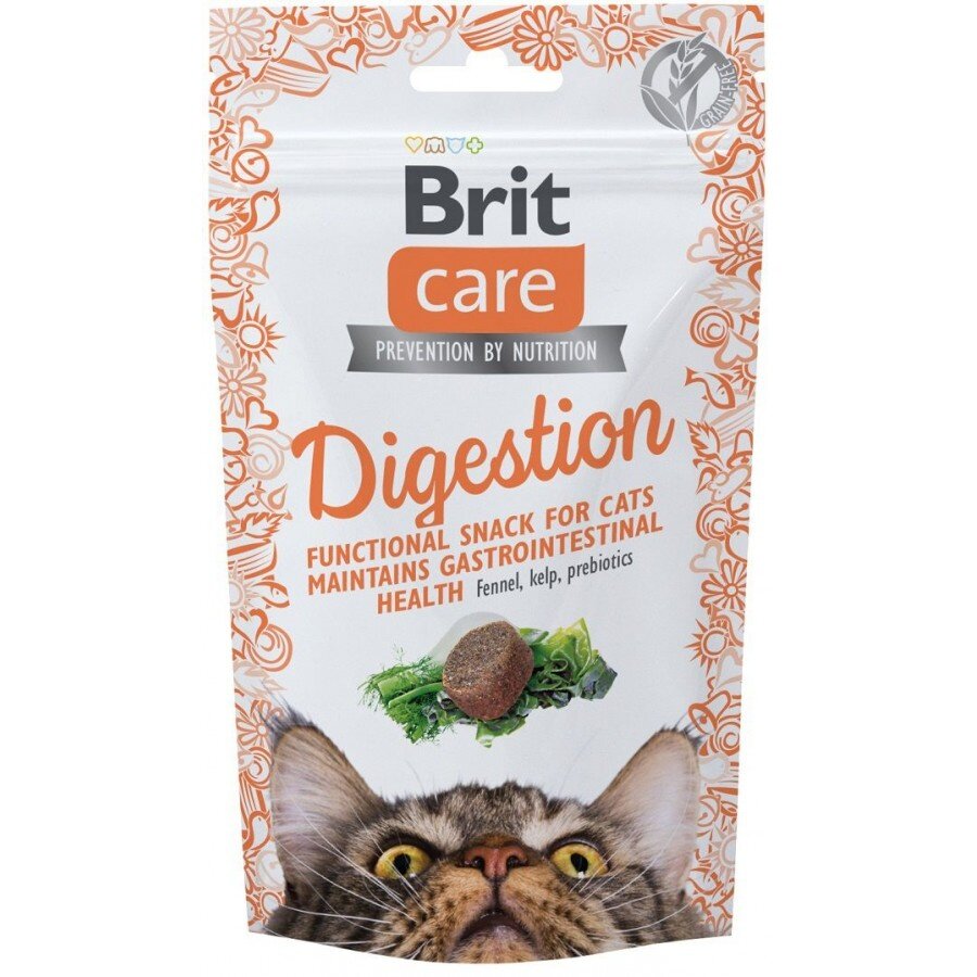 Care Cat Snack Digestion 50 gram