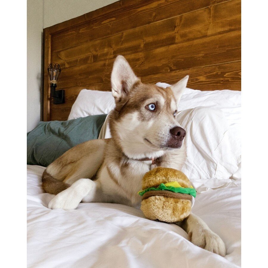 NomNomz Hamburger