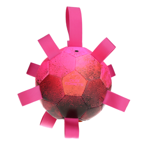 Dog Comets Hypernova