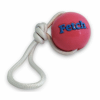 Fetch bal met koord