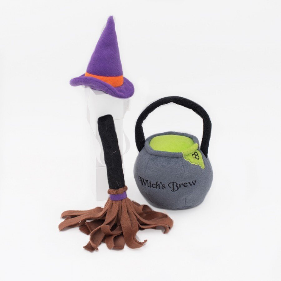 Halloween Costume Kit Witch