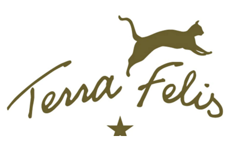 Terra Felis