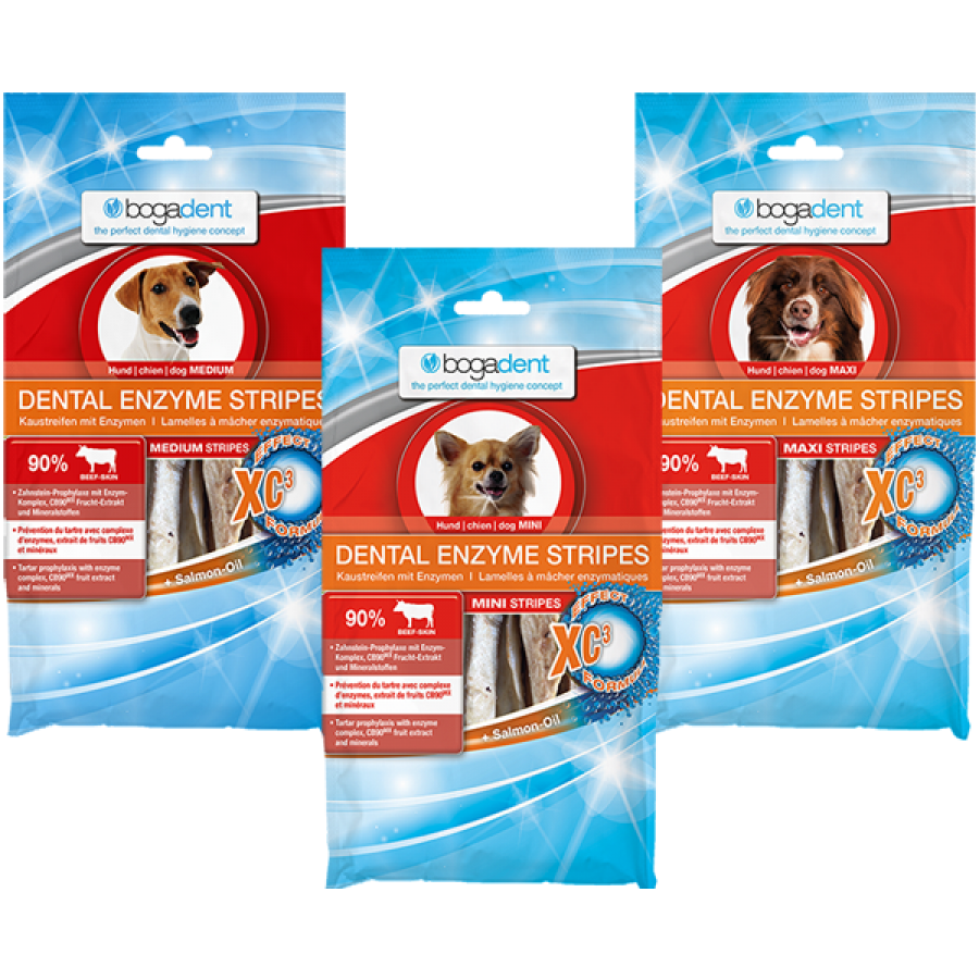 Bogadent Dental Enzyme Stripes