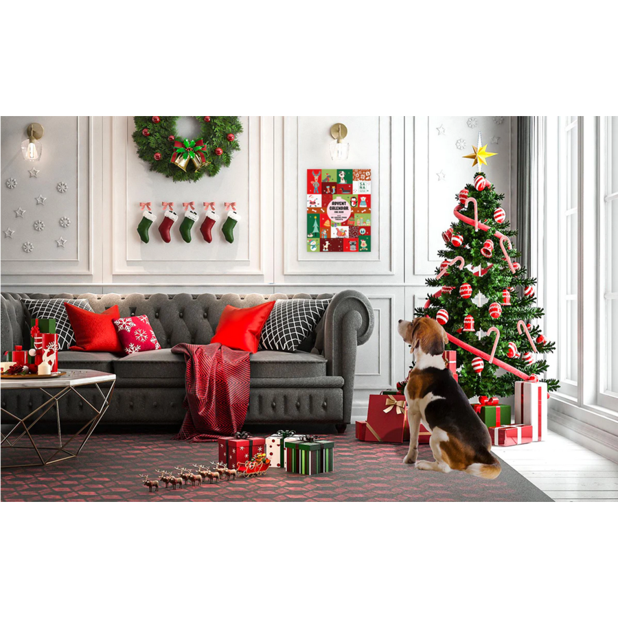 Adventskalender voor Honden 280 gram
