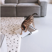 X-Mas Coffee Table Book