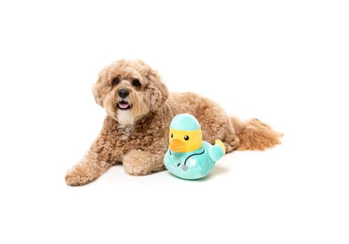 FuzzYard Quackson Five - Duck Ducktor