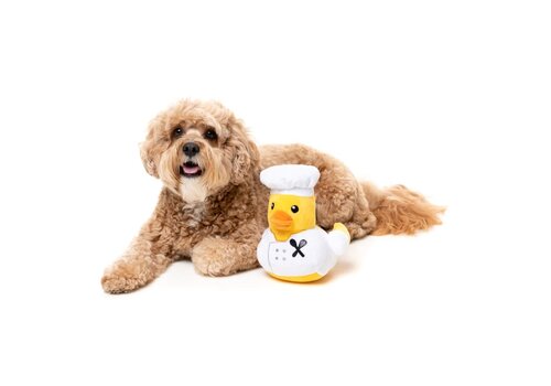 FuzzYard Quackson Five - Duck Gordon Quacksay