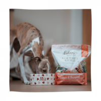 Dog Gourmet Salmon & Pheasant THT 23-7-2025