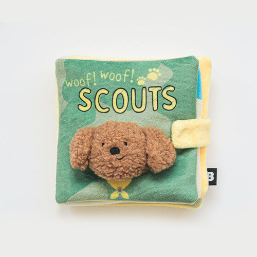 Scout Book