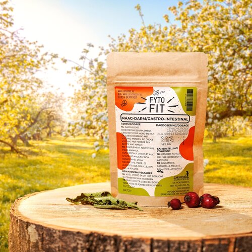 Carnivoer Fyto-Fit Maag-Darm 40 gram Carnivoer Fyto-Fit Maag-Darm 40 gram