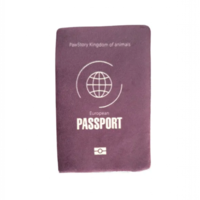 Passport Adventure