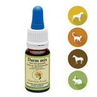 Darm Mix 10 ml