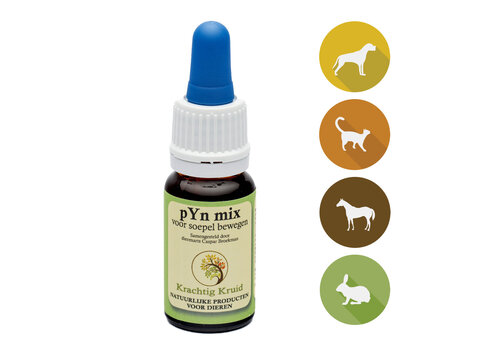 Krachtig Kruid pYn Mix 10 ml