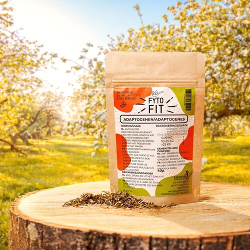 Carnivoer Fyto Supplement Adaptogenen 40 gram Carnivoer Fyto Supplement Adaptogenen 40 gram