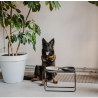 Butler Voerbakstandaard Zwart (zonder voerbak) Hond